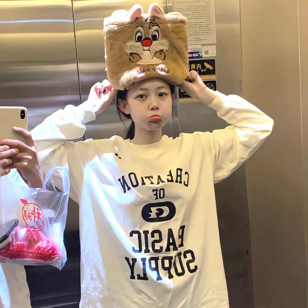 烽火雁翎